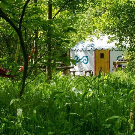 Plush Tents Yurt Village Chichester Exterior photo