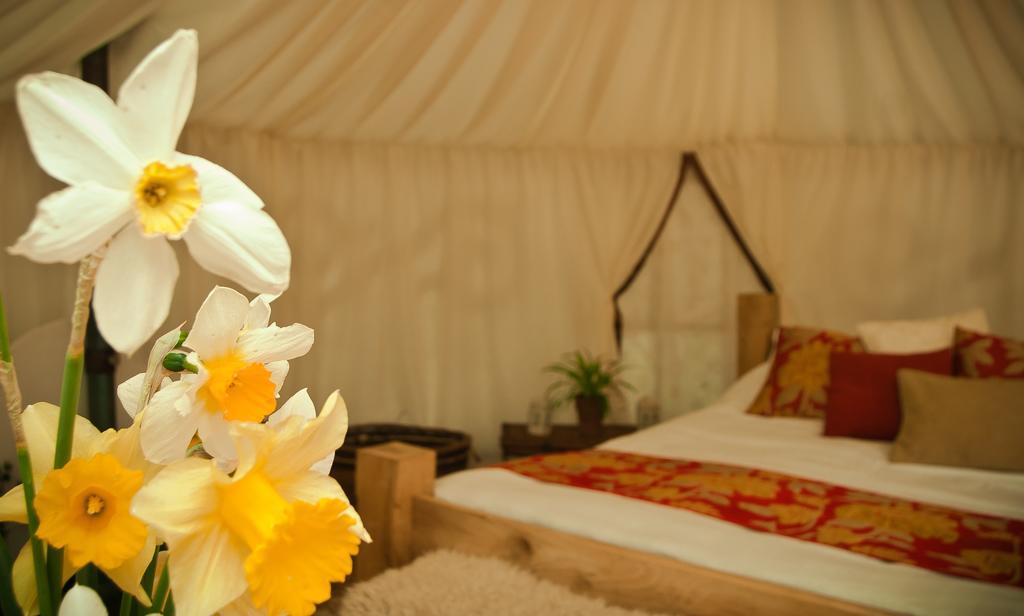 Plush Tents Yurt Village Chichester Room photo