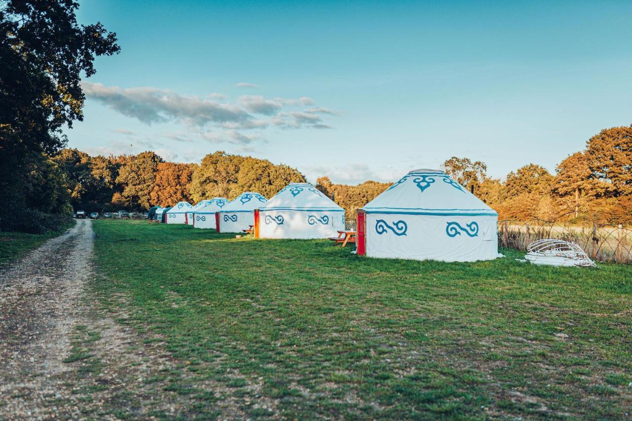 Plush Tents Yurt Village Chichester Exterior photo